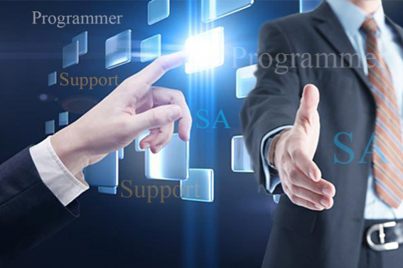 IT Staff Augmentation